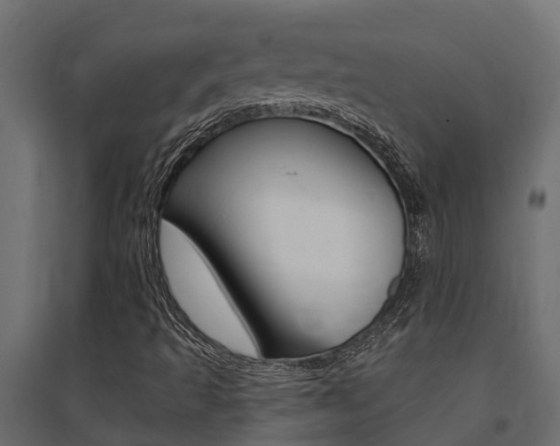 X0000094901493200711291010