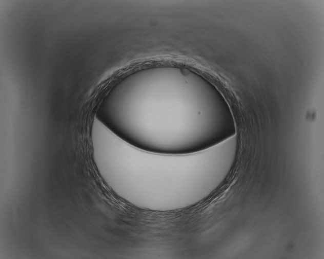 X0000094901494200711291010