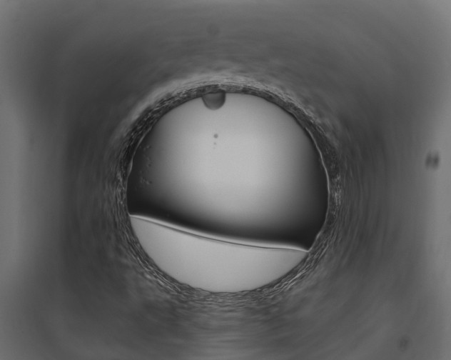 X0000094901495200711291010