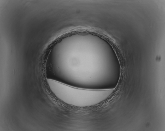 X0000094901496200711291010