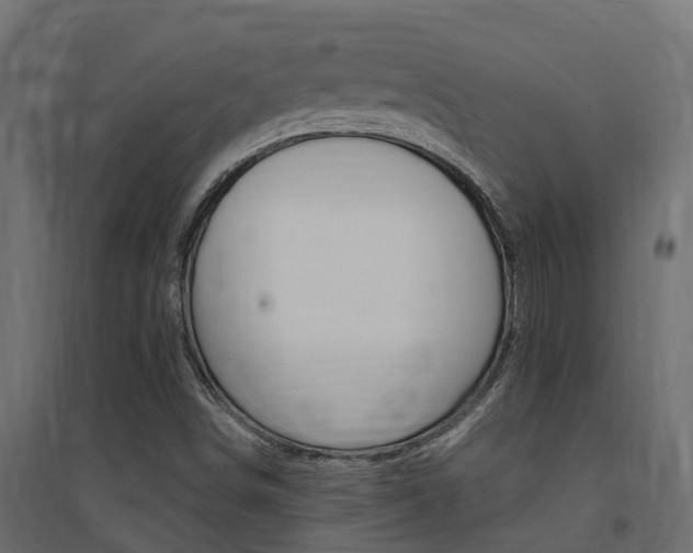 X0000094901498200711291010