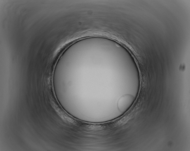 X0000094901499200711291010