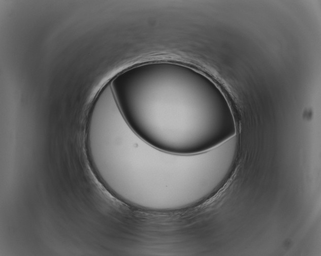 X0000094901500200711291010