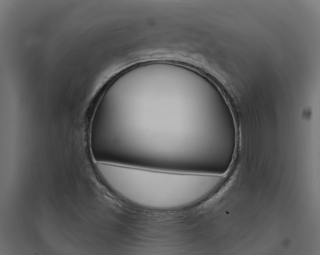X0000094901501200711291010