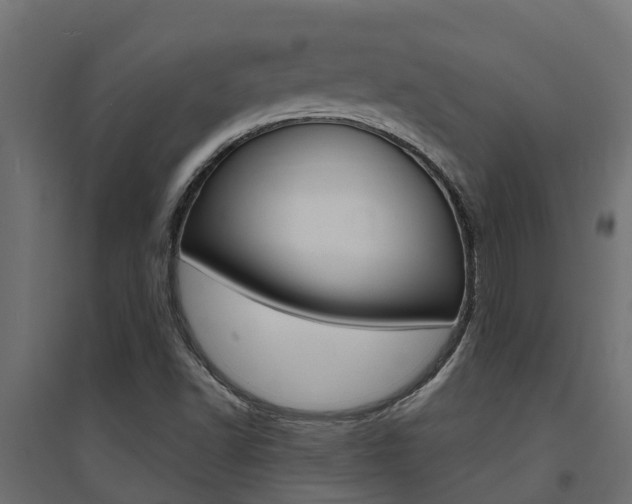 X0000094901502200711291010