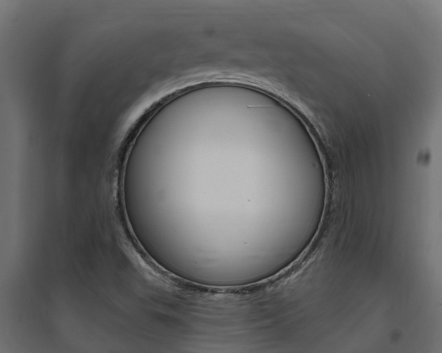 X0000094901503200711291010