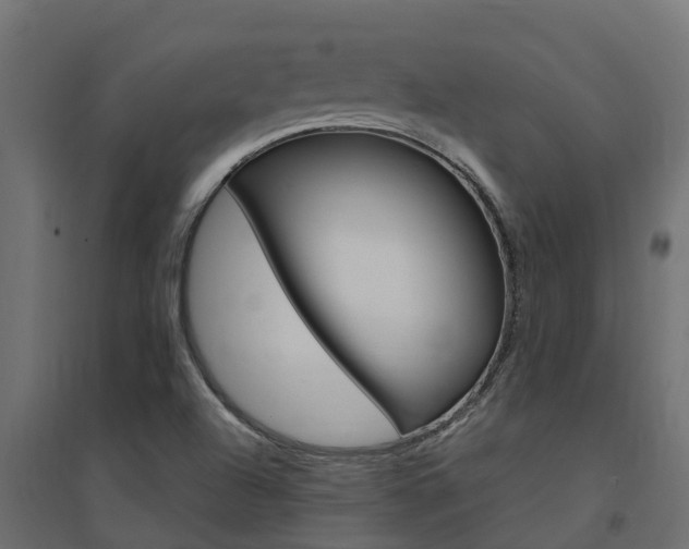 X0000094901504200711291010