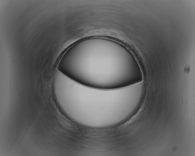 X0000094901505200711291010
