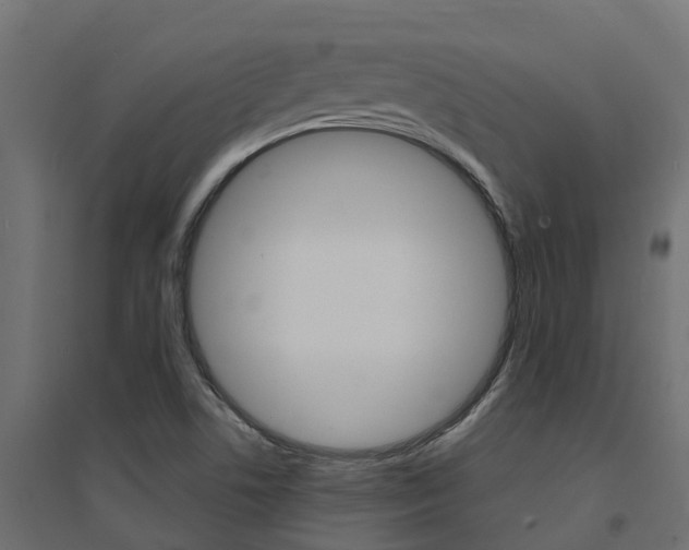 X0000094901506200711291010