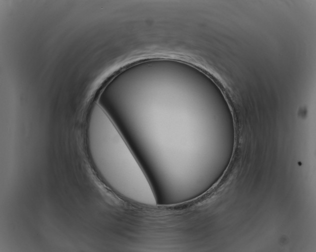 X0000094901507200711291010