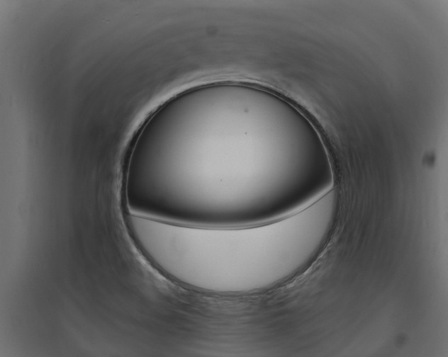 X0000094901508200711291010