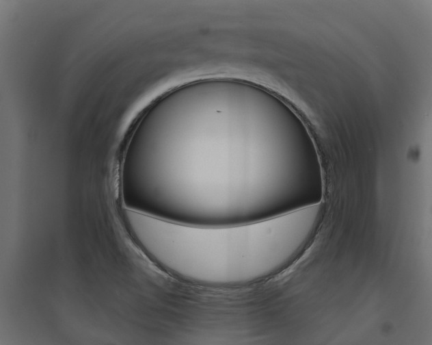X0000094901510200711291010