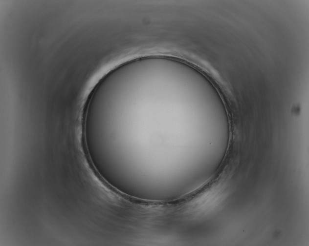 X0000094901512200711291010