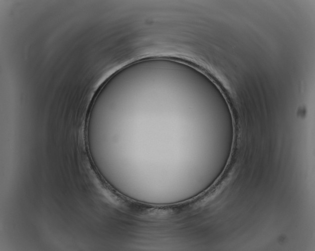 X0000094901513200711291010