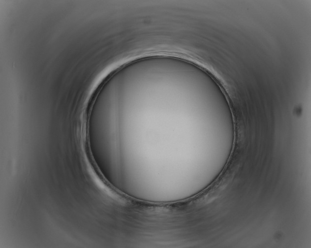 X0000094901515200711291010