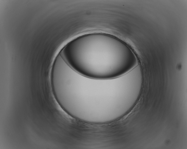 X0000094901516200711291010