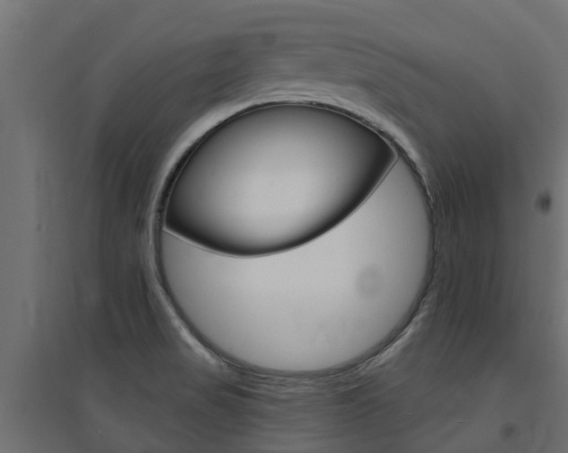 X0000094901517200711291010