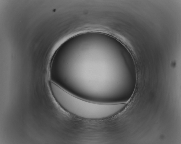 X0000094901520200711291010