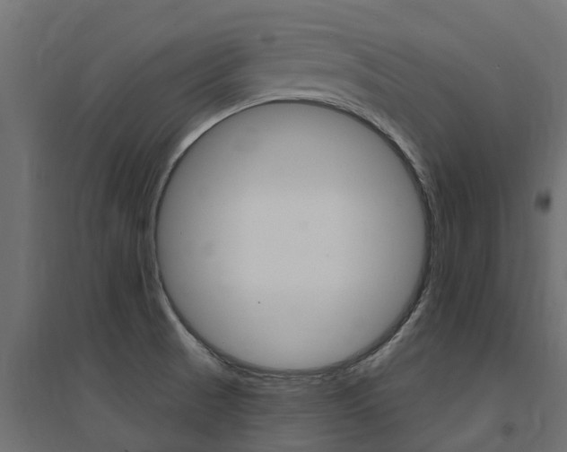 X0000094901521200711291010