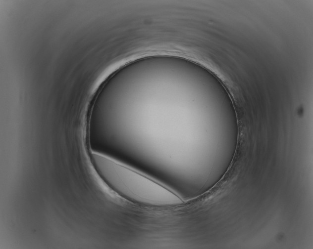 X0000094901523200711291010
