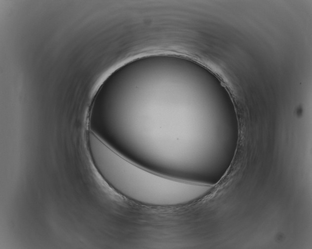 X0000094901524200711291010