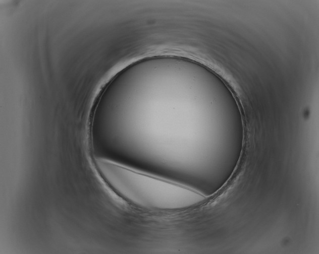 X0000094901525200711291011