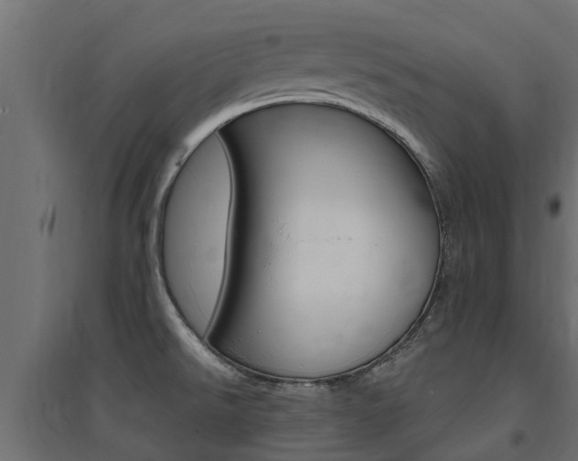 X0000094901526200711291011