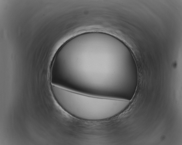 X0000094901527200711291011