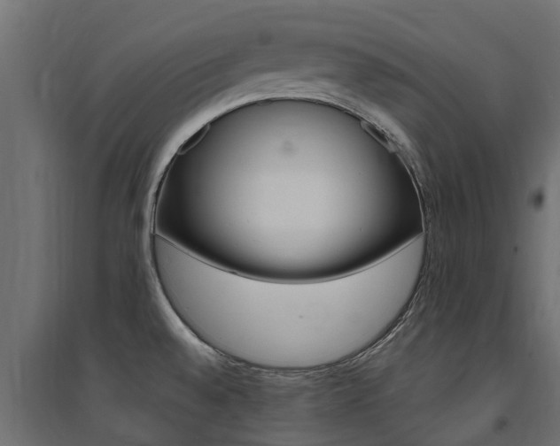X0000094901528200711291011