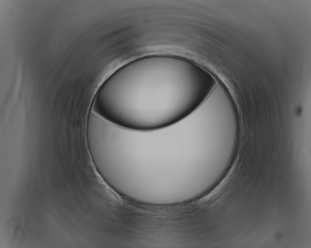X0000094901529200711291011