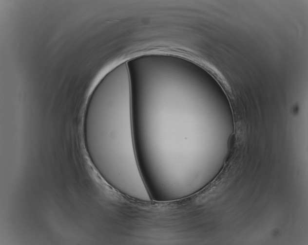 X0000094901530200711291011