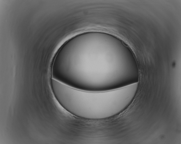 X0000094901531200711291011