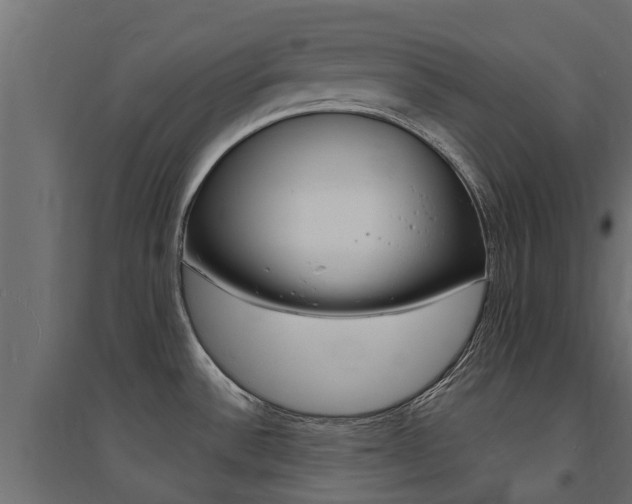X0000094901532200711291011