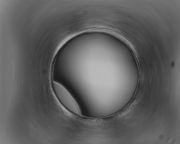 X0000094901533200711291011