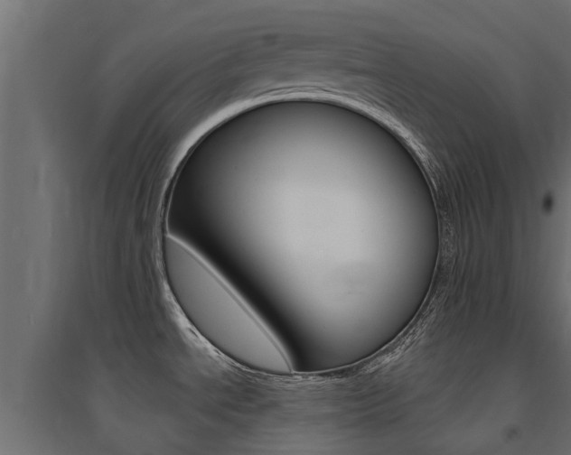 X0000094901534200711291011