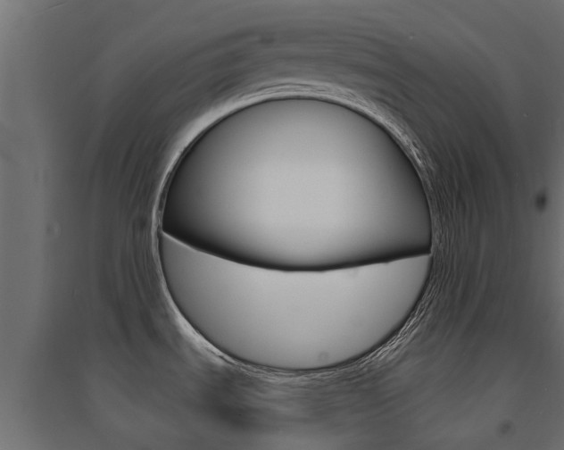 X0000094901535200711291011