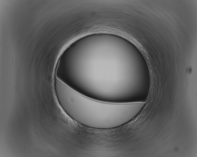 X0000094901536200711291011