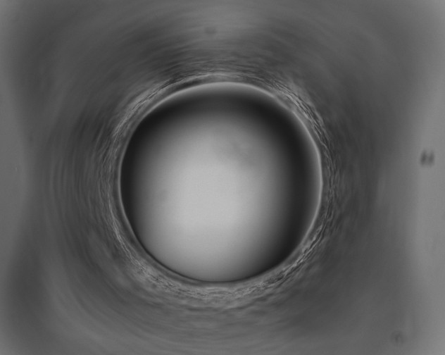 X0000094900001200711291243