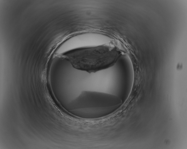 X0000094900002200711291243