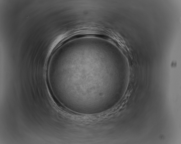 X0000094900003200711291243