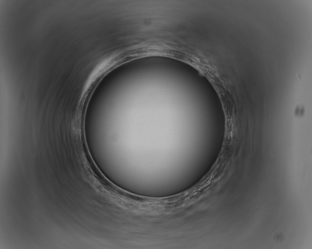 X0000094900004200711291243