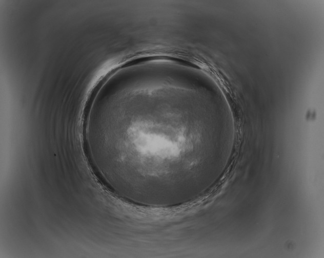 X0000094900006200711291243