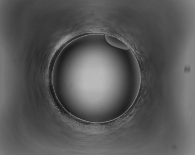 X0000094900008200711291243