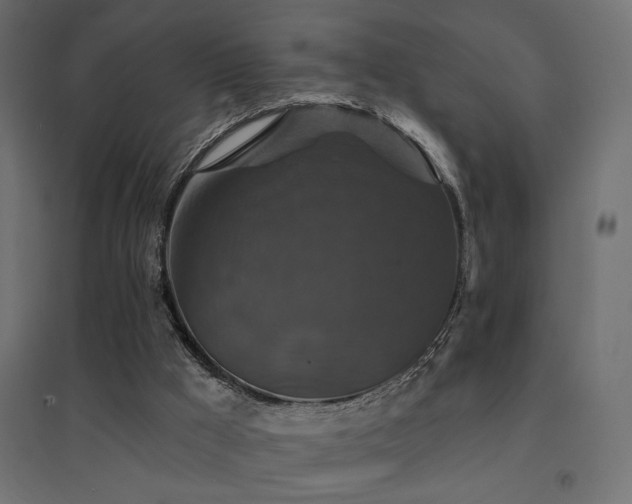 X0000094900009200711291243