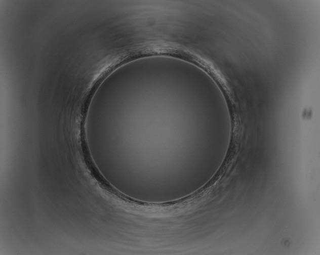 X0000094900010200711291243