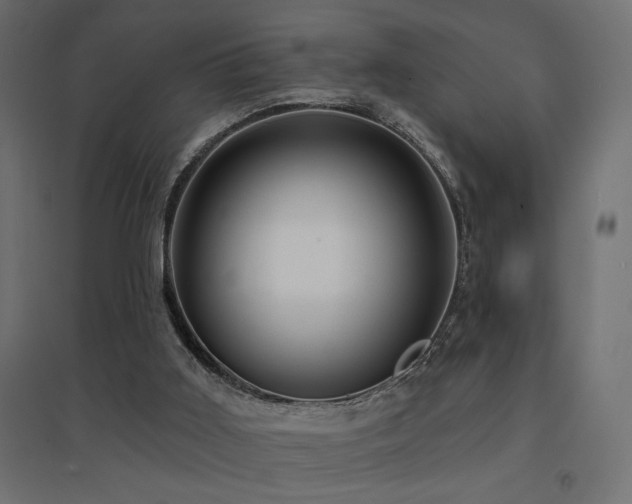 X0000094900011200711291243