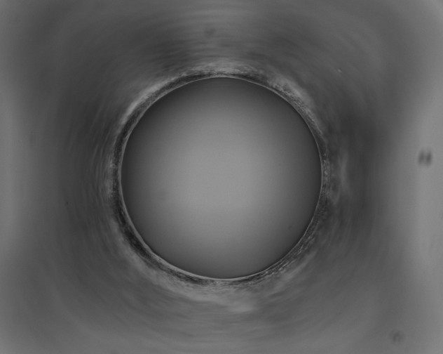 X0000094900012200711291243