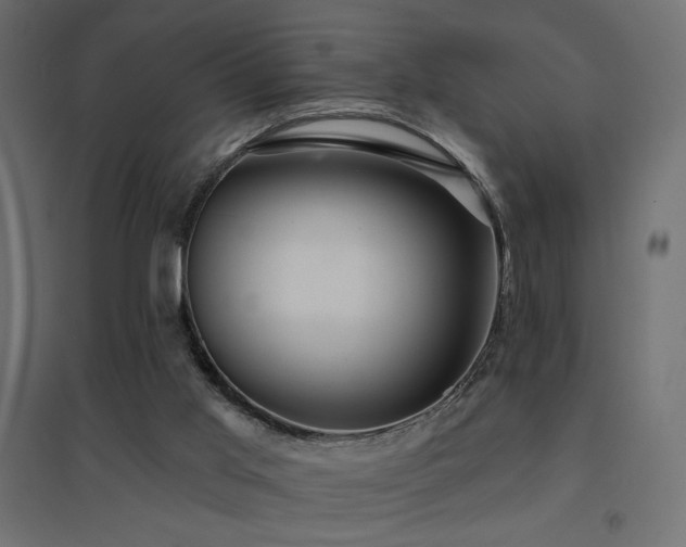 X0000094900013200711291243