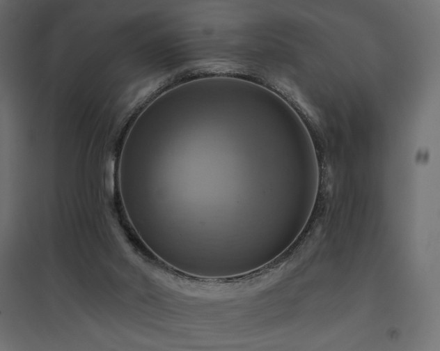 X0000094900014200711291243