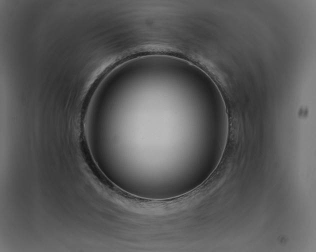 X0000094900015200711291243